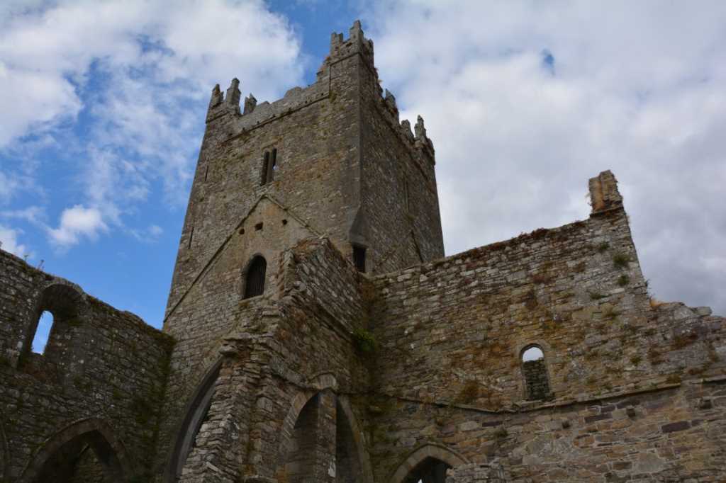 DSC_4029Mittel_.JPG